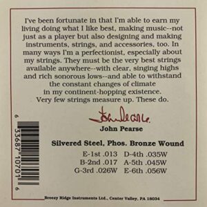 John Pearse Guitar Strings 3 Pack Acoustic Medium #700M Phosphor Bronze