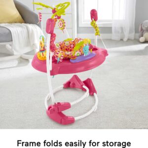 Fisher-Price Baby Bouncer Pink Petals Jumperoo Activity Center with Music Lights Sounds and Developmental Toys