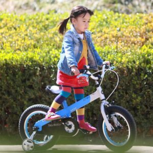 RoyalBaby Boys Girls Kids Bike 14 Inch Matte Button Bicycles with Training Wheels Child Bicycle Blue