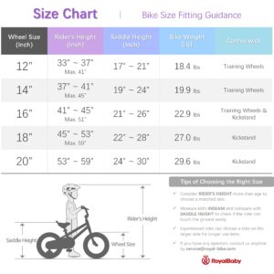 RoyalBaby Boys Girls Kids Bike 12 Inch Matte Button Bicycles with Training Wheels Child Bicycle Blue