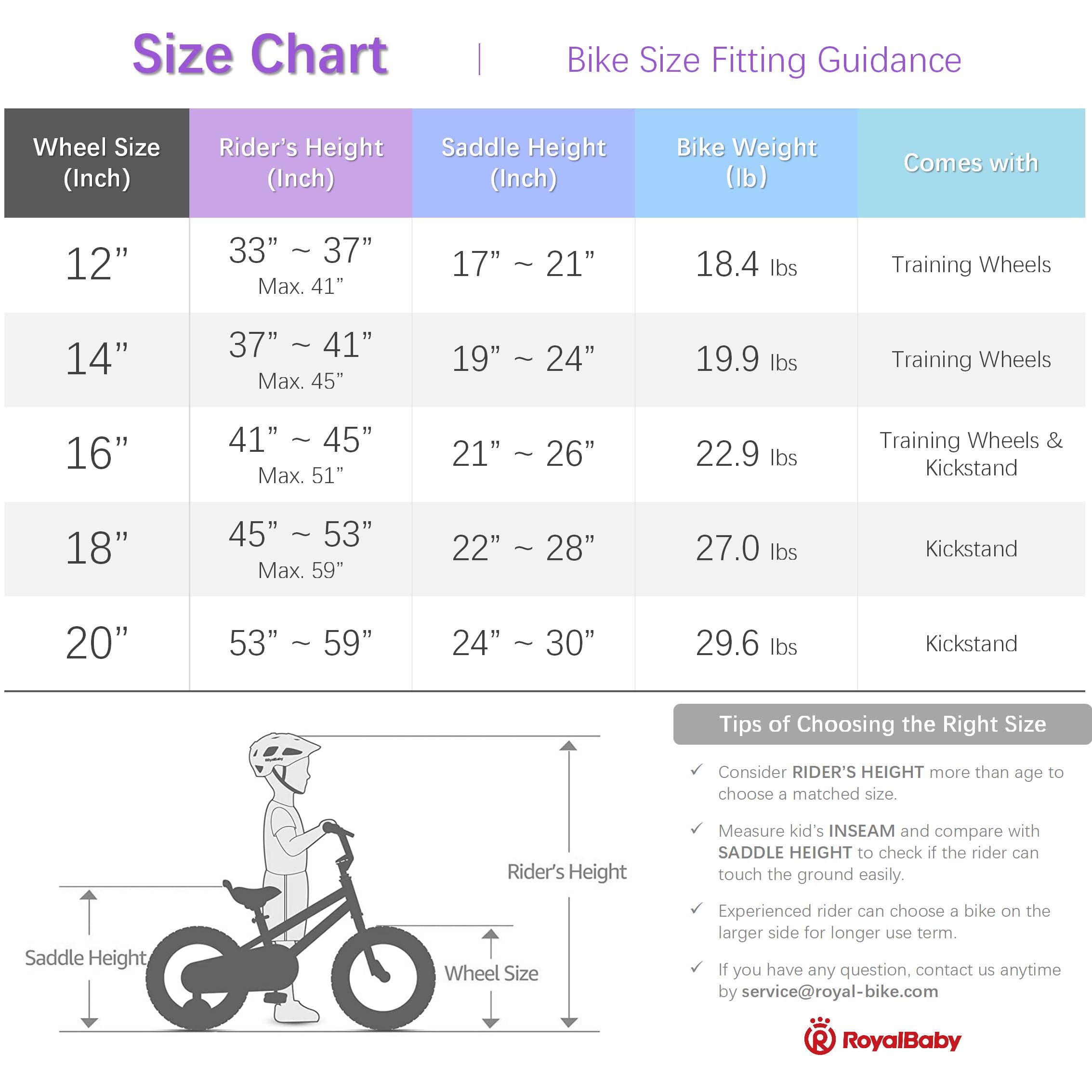 RoyalBaby Boys Girls Kids Bike 12 Inch Matte Button Bicycles with Training Wheels Child Bicycle Blue