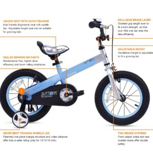 RoyalBaby Boys Girls Kids Bike 12 Inch Matte Button Bicycles with Training Wheels Child Bicycle Blue