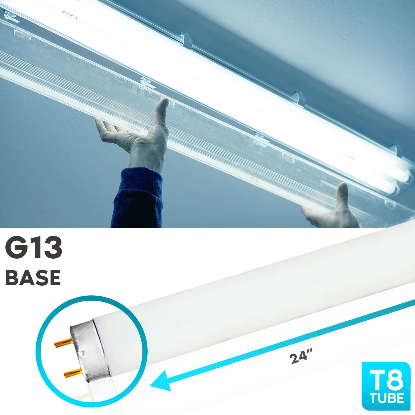 LUXRITE F17T8/865 17W 24 Inch T8 Fluorescent Tube Light Bulb, 6500K Daylight, 1350 Lumens, G13 Medium Bi-Pin Base, LR20755, 6-Pack