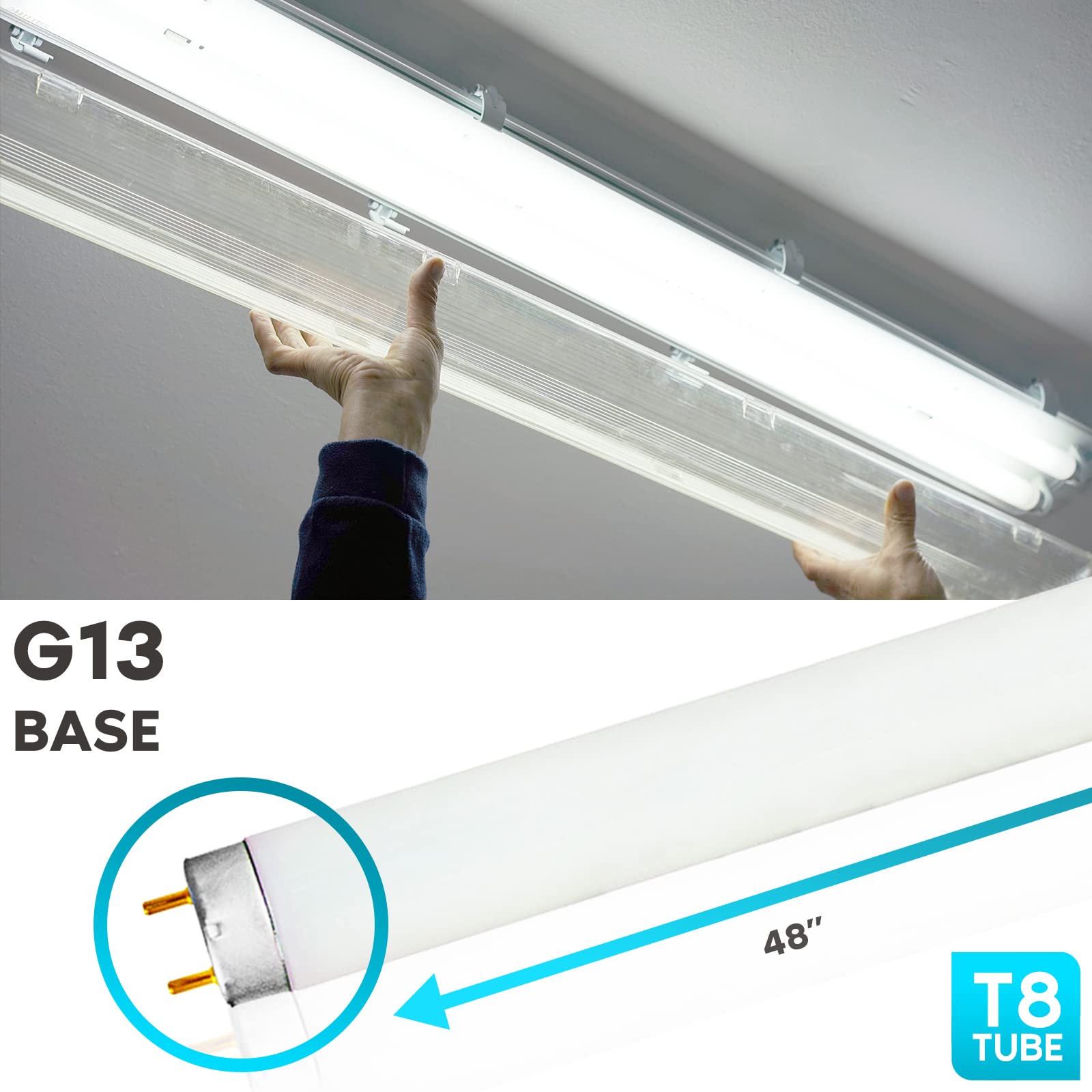 LUXRITE F32T8/841 32W 48 Inch T8 Fluorescent Tube Light Bulb, 4100K Cool White, 2800 Lumens, G13 Medium Bi-Pin Base, LR20732, 10-Pack