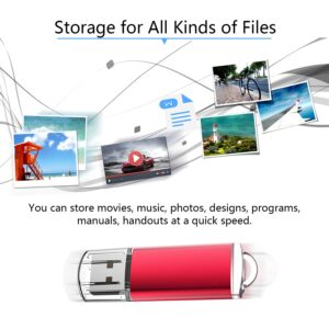 RAOYI 10PCS 4G USB Flash Drive USB 2.0 Memory Stick Thumb Drive Pen Drive Jump Drive-Red