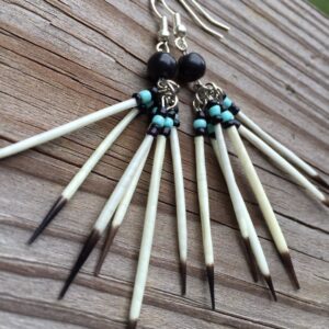 Clustered Black and Turquoise Quill Earrings Native