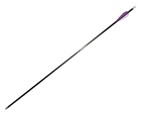 IRQ 31 Inch Carbon Arrow Quiver Set Spine 400 for Compound Recurve Long Bows Target Practice and Hunting Arrows, 12 Pack Carbon Fiber Arrow Plus 1 Quiver