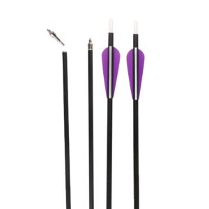 IRQ 31 Inch Carbon Arrow Quiver Set Spine 400 for Compound Recurve Long Bows Target Practice and Hunting Arrows, 12 Pack Carbon Fiber Arrow Plus 1 Quiver