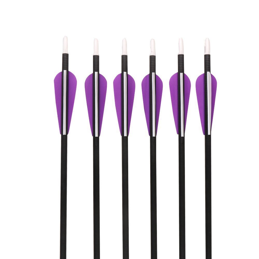 IRQ 31 Inch Carbon Arrow Quiver Set Spine 400 for Compound Recurve Long Bows Target Practice and Hunting Arrows, 12 Pack Carbon Fiber Arrow Plus 1 Quiver