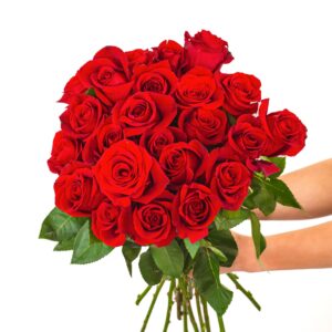 BloomsyBox :Two Dozen Red Roses Hand-Tied in Eco-friendly Wrap, Farm Fresh Flowers,Vase Not Included, Flower Delivery, Birthday Flowers, Anniversary Flowers, Wedding Flowers