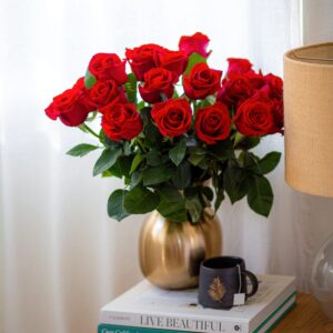 BloomsyBox :Two Dozen Red Roses Hand-Tied in Eco-friendly Wrap, Farm Fresh Flowers,Vase Not Included, Flower Delivery, Birthday Flowers, Anniversary Flowers, Wedding Flowers