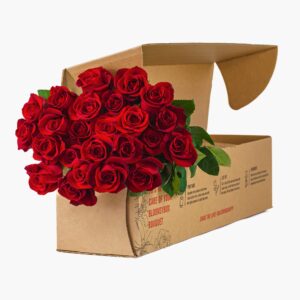 BloomsyBox :Two Dozen Red Roses Hand-Tied in Eco-friendly Wrap, Farm Fresh Flowers,Vase Not Included, Flower Delivery, Birthday Flowers, Anniversary Flowers, Wedding Flowers