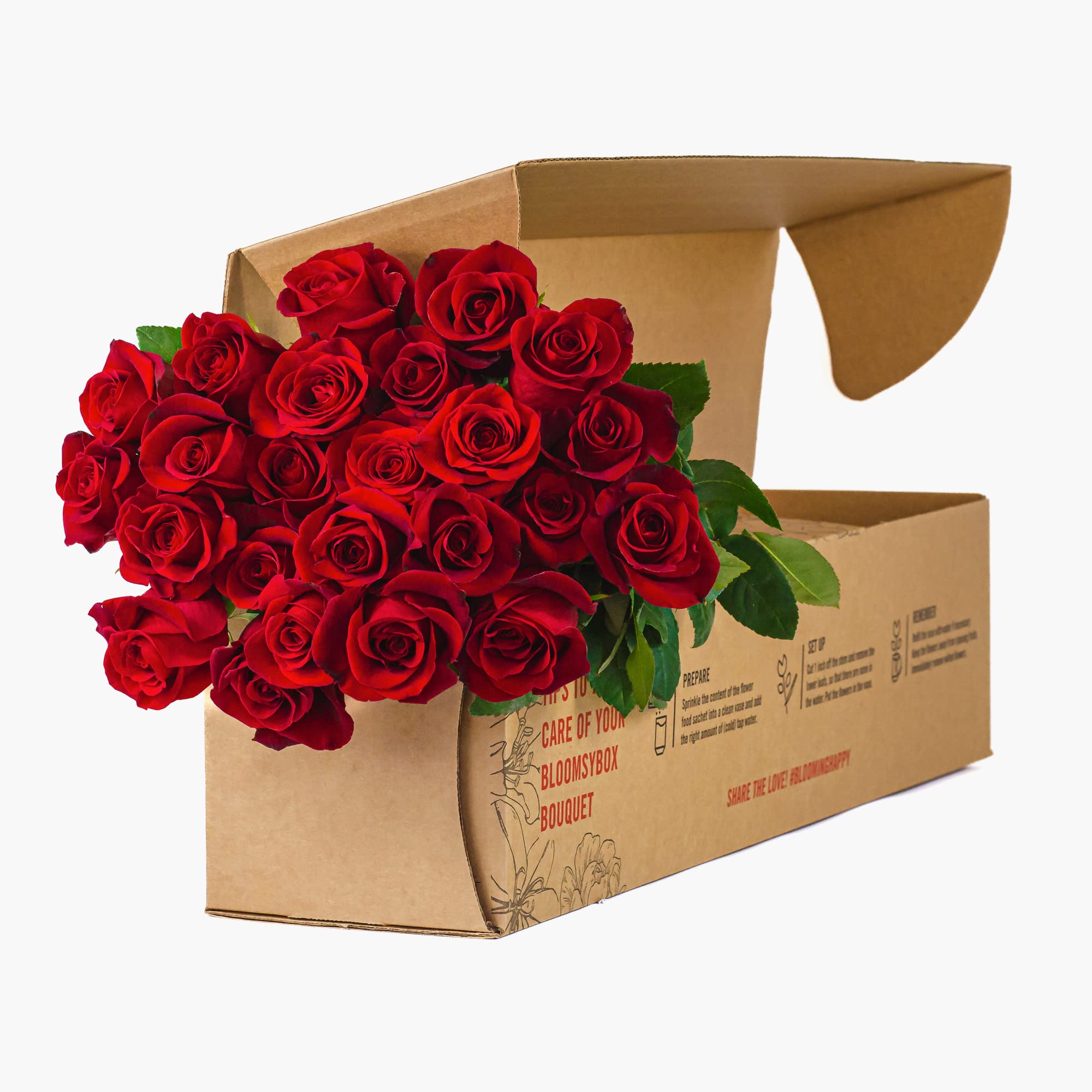 BloomsyBox :Two Dozen Red Roses Hand-Tied in Eco-friendly Wrap, Farm Fresh Flowers,Vase Not Included, Flower Delivery, Birthday Flowers, Anniversary Flowers, Wedding Flowers