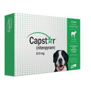 Capstar Green Box Flea Oral Treatment for Large Dogs Over 25lbs. 6 Pill/tablets (CA4925Y07AM)