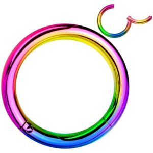 14g 16g Hinged WildKlass Seamless Clicker Ring 316L Surgical Steel (16g 12mm Rainbow)