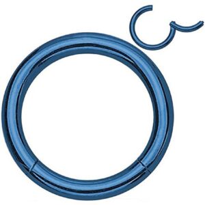 14g 16g Hinged WildKlass Seamless Clicker Ring 316L Surgical Steel (16g 12mm Blue)