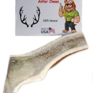 Split Elk Antler Dog Chew, X-Large, Extra Thick, 6 inches to 8 inches - for Large to Extra Large Dogs and Puppies - Big Dog Antler Chews Brand