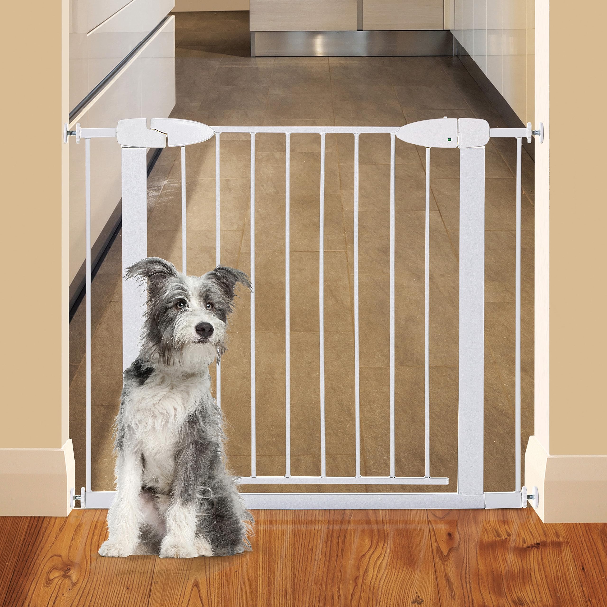 Dreambaby Boston Auto Close Gate with Ezy Check Indicator, White