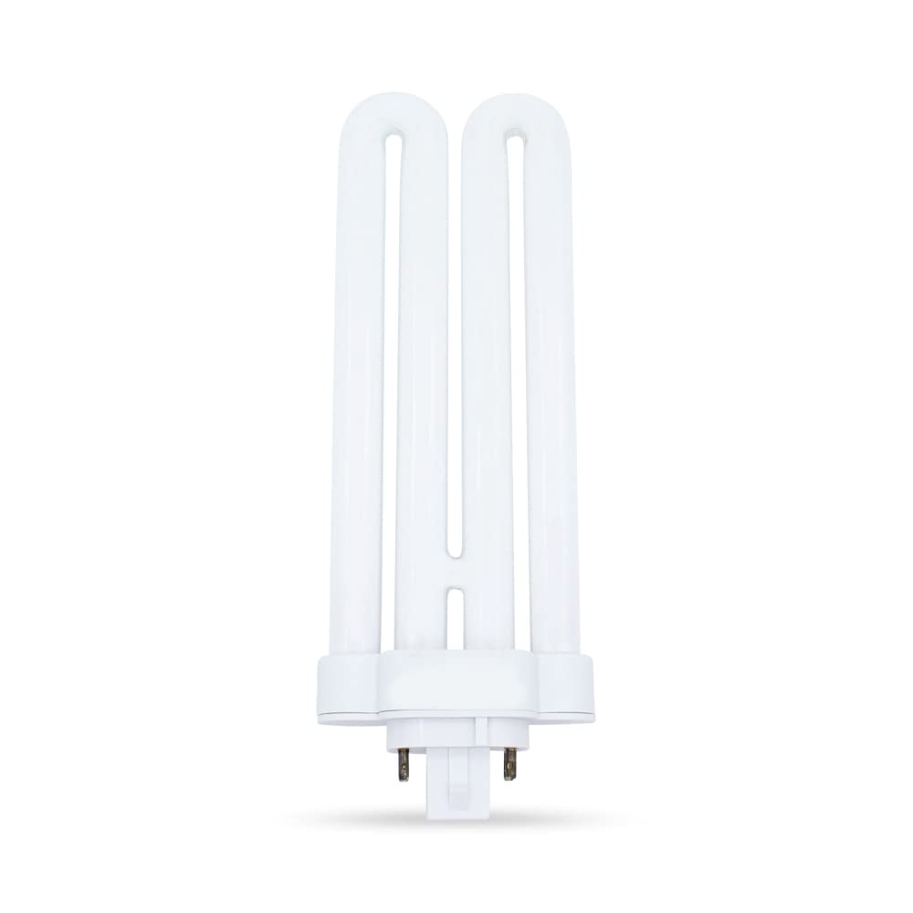 Regent Compact Fluorescent Bulb (FML26)