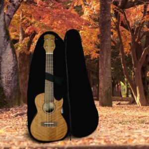 Journey Instruments Meranti Concert Travel Ukulele – UC770CE Traveling Concert-Size Ukulele – Top Best Road Trip Ukulele Musical Instruments – Travel Ukulele Case