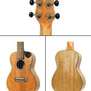 Journey Instruments Meranti Concert Travel Ukulele – UC770CE Traveling Concert-Size Ukulele – Top Best Road Trip Ukulele Musical Instruments – Travel Ukulele Case