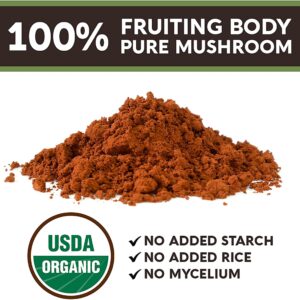 Longevity Botanicals Organic Chaga Mushroom Powder - Ultra Concentrated Supplement - Promotes a Balanced Immune System, Relaxation, Stress Relief and Improved Sleep - 100 Grams