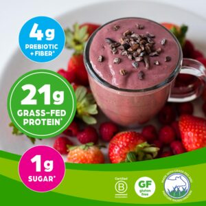 Orgain Whey Protein Powder, Creamy Chocolate Fudge - 21g Grass Fed Dairy Protein, 5g BCAAs, 4g Prebiotic Fiber, No Sugar Added, No Added Hormones, Gluten Free, Kosher, For Shakes & Smoothies - 1.82lb