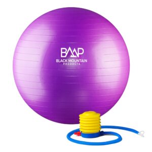 Black Mountain Products Professional Grade Stability Ball, Purple, 55 cm