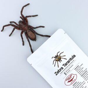 newport jerky company edible insects | edible zebra tarantula | un-flavored natural edible tarantula