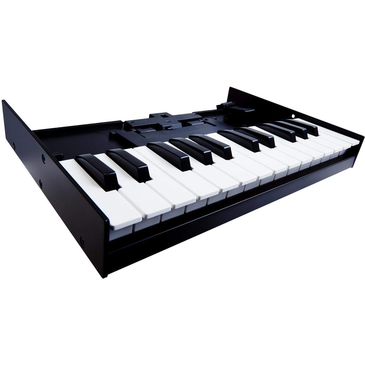 Roland K-25M Boutique Module Dock USB MIDI Keyboard, 12-Inch