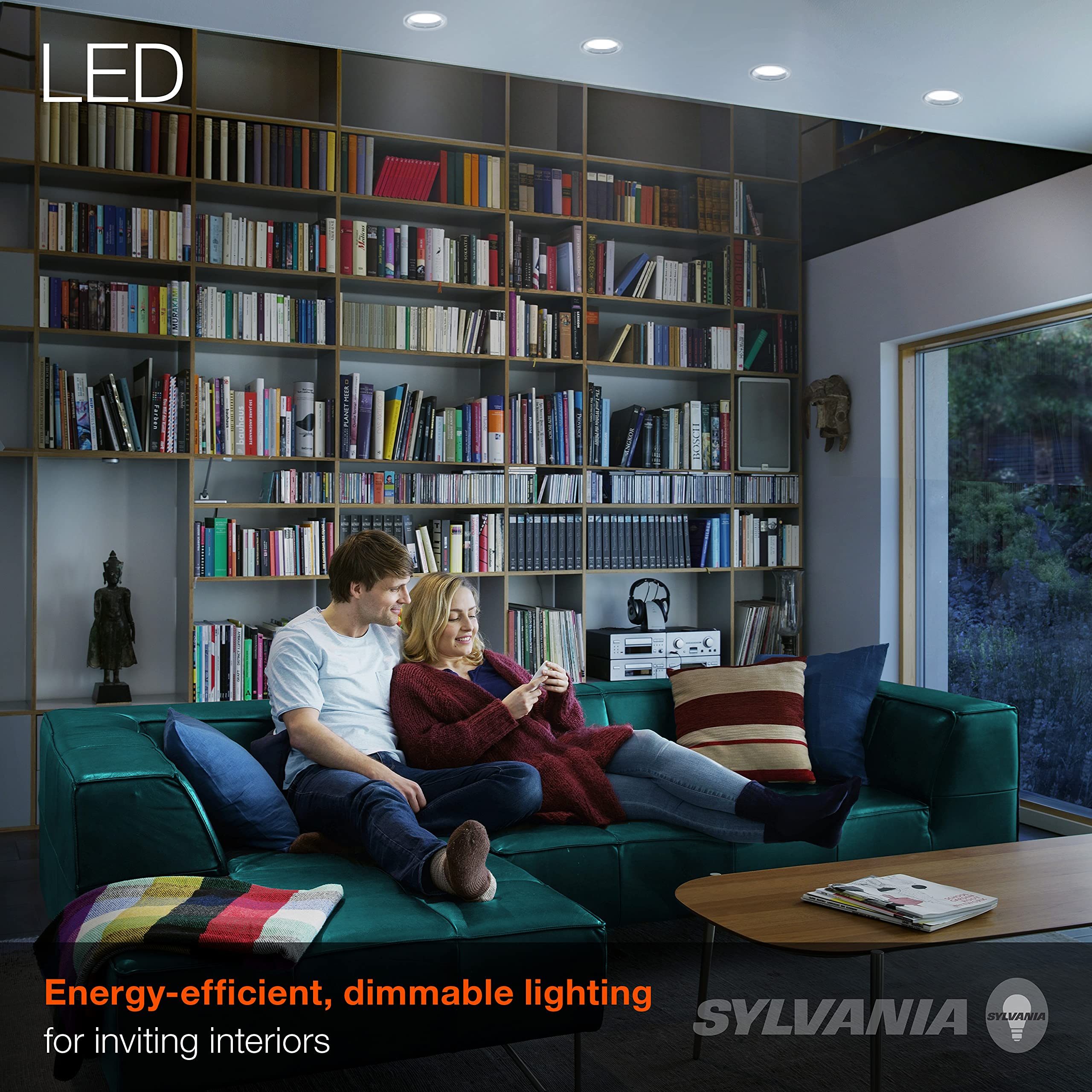 SYLVANIA LED Flood BR30 Light Bulb, 65W=8W, 10 Year, Medium Base, 650 Lumens, Dimmable, 5000K, Daylight - 2 Pack (73956)