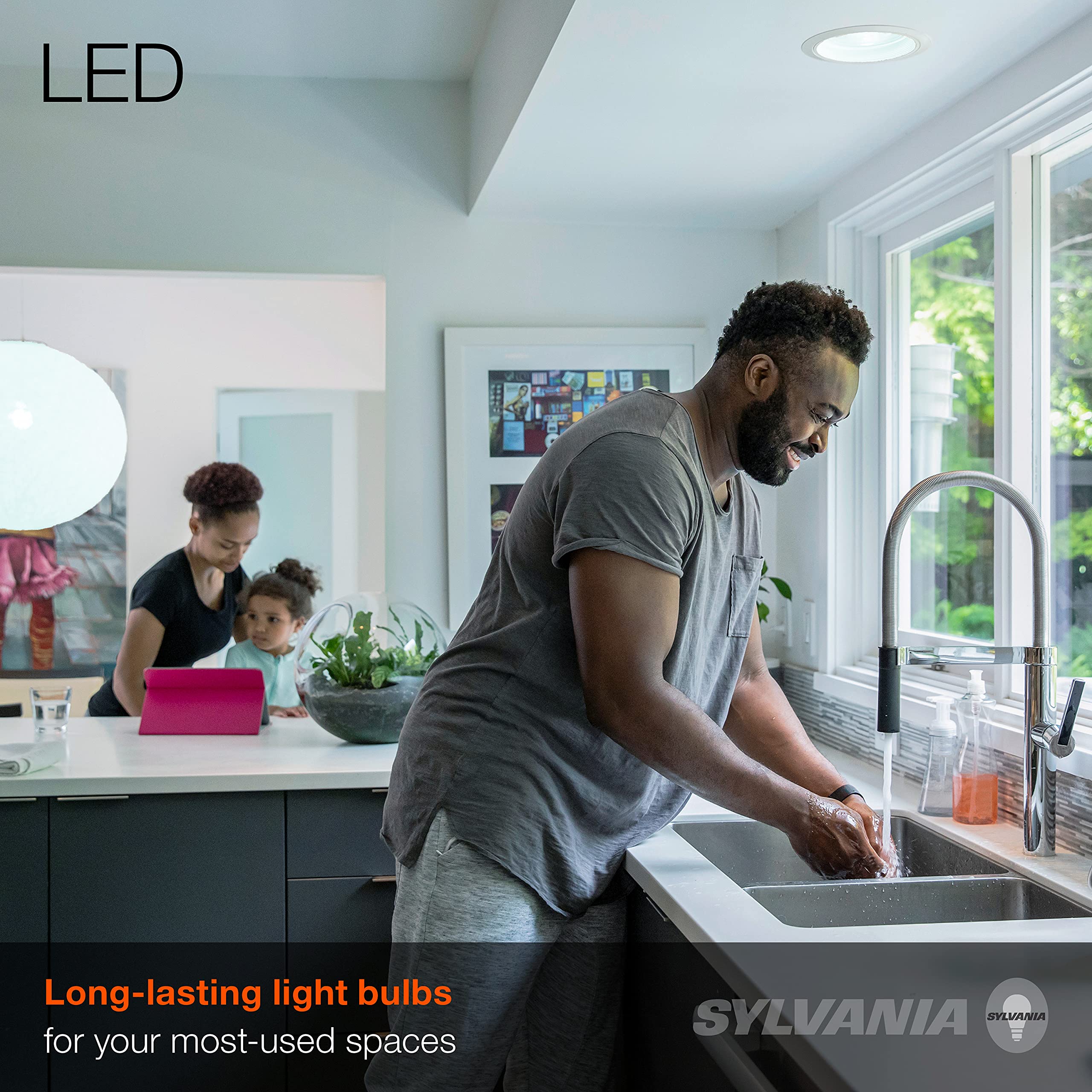 SYLVANIA LED Flood BR30 Light Bulb, 65W=8W, 10 Year, Medium Base, 650 Lumens, Dimmable, 5000K, Daylight - 2 Pack (73956)