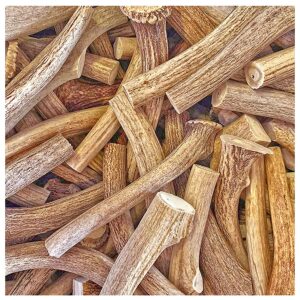 WhiteTail Naturals | 1 Pound (lb) Bundle | Extra Hard Axis Deer Antlers for Dogs | Naturally Shed Organic Antler Dog Chews | for Aggressive Chewers Only