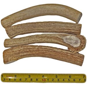 WhiteTail Naturals | 1 Pound (lb) Bundle | Extra Hard Axis Deer Antlers for Dogs | Naturally Shed Organic Antler Dog Chews | for Aggressive Chewers Only