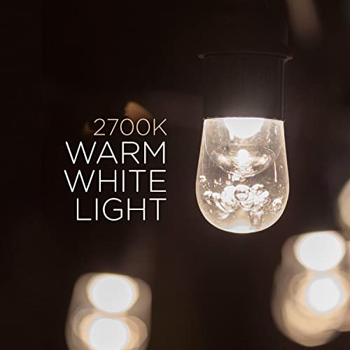 Enbrighten Classic Warm White String Lights, 48ft Black Cord, 24 Shatterproof Acrylic Bulbs, Weatherproof, Outdoor String Lights, 31664