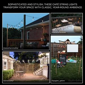 Enbrighten Classic Warm White String Lights, 48ft Black Cord, 24 Shatterproof Acrylic Bulbs, Weatherproof, Outdoor String Lights, 31664