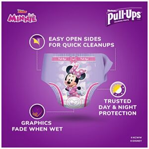 Pull-Ups Learning Designs for Girls Potty Training Pants, 2T-3T (18-34 lbs.), 25 Ct. (Packaging May Vary)