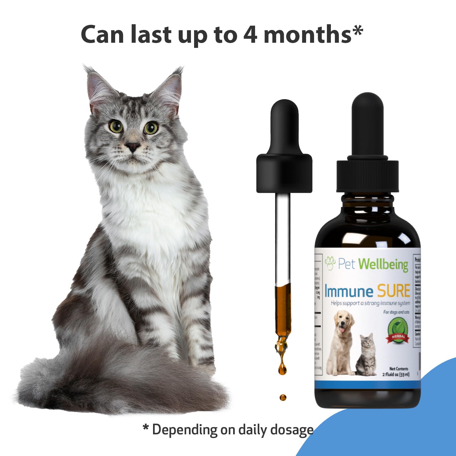 Pet Wellbeing Immune Sure for Cats - Vet-Formulated - Immune System Support & Protection - Natural Herbal Supplement 2 oz (59 ml)