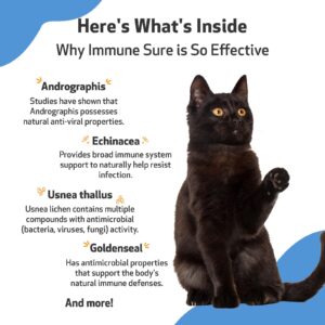 Pet Wellbeing Immune Sure for Cats - Vet-Formulated - Immune System Support & Protection - Natural Herbal Supplement 2 oz (59 ml)