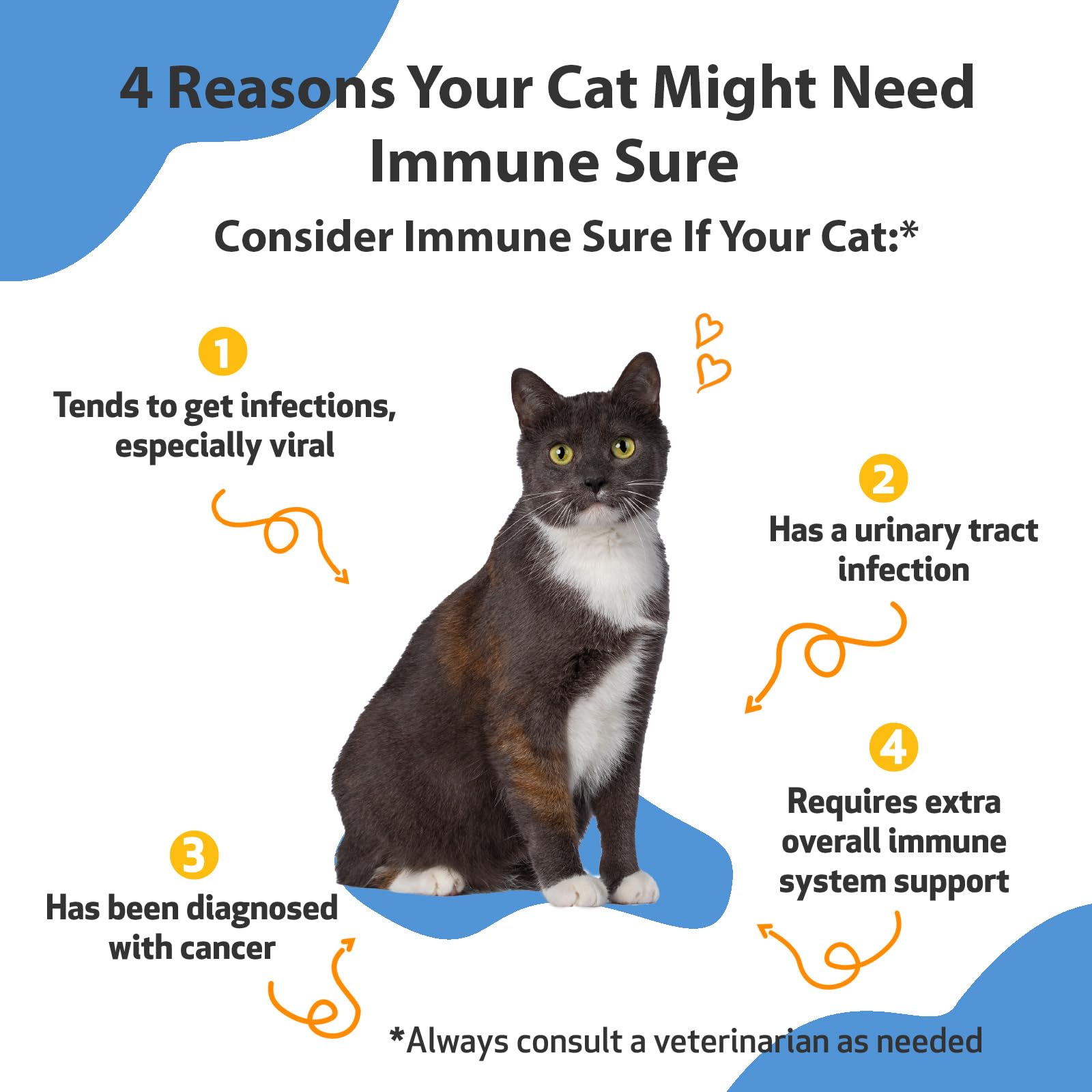 Pet Wellbeing Immune Sure for Cats - Vet-Formulated - Immune System Support & Protection - Natural Herbal Supplement 2 oz (59 ml)