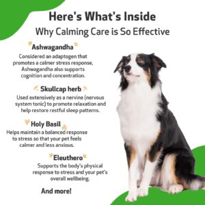 Pet Wellbeing Calming Care for Dogs - Vet-Formulated - Supports Calm & Relaxed Nervous System - Natural Herbal Supplement 2 oz (59 ml)