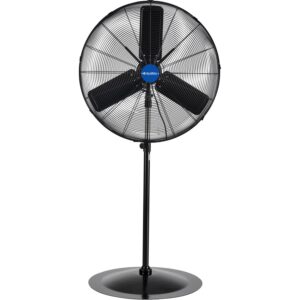 Global Industrial Outdoor Oscillating Pedestal Fan, 30" Diameter, 3/10HP, 8400CFM