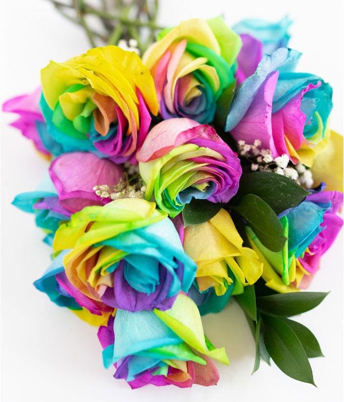 From You Flowers - One Dozen Wild Rainbow Roses with Glass Vase (Fresh Flowers) Birthday, Anniversary, Get Well, Sympathy, Congratulations, Thank You