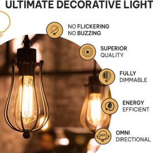 HUDSON BULB CO. Vintage Incandescent Edison Light Bulbs 60W (4 Pack)- E26/E27 Base 2100K Dimmable Decorative Lightbulbs for Outdoor and Indoor - ST64 Style Warm Light - Antique Squirrel Filament