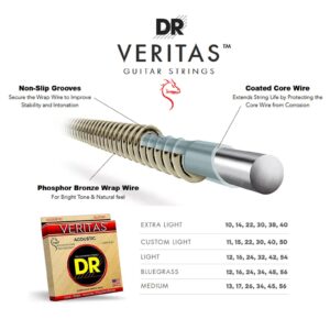 DR Strings Veritas Phosphor Bronze Acoustic Guitar Strings, 12-54 Light (VTA-12)