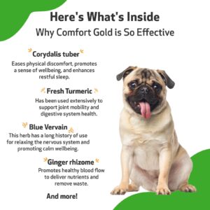 Pet Wellbeing Comfort Gold for Dogs - Natural Pain Relief for Canines - 2 oz (59ml)