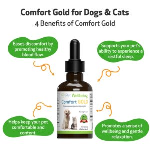 Pet Wellbeing Comfort Gold for Dogs - Natural Pain Relief for Canines - 2 oz (59ml)