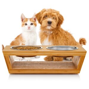 4” Raised Dog Bowls for Small Dogs and Cats. Elevated Dog Bowl Stand by Pawfect Pets. Pet Feeder Comes with Four Stainless Steel Dog Bowls