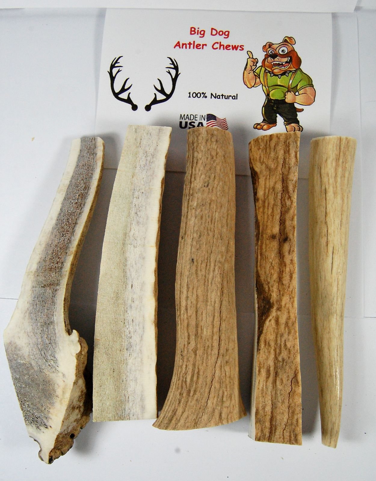 Big Dog Antler Chews - Grade B Deer and Elk Antler Pieces - Dog Chews - Antlers by The Pound, One Pound - Six Inches or Longer - Natural Healthy Long-Lasting Treat