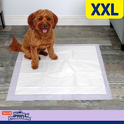 Hartz Home Protection Lavender Scented Dog Pads, XXL 40 count, Super Absorbent & Won't Leak, Odor Eliminating